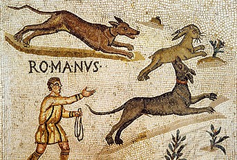 Read more about the article 10. lugu – Uued ja vanad mõistatused