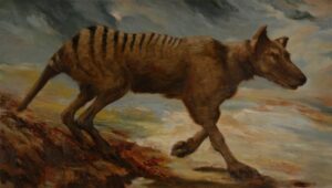 Read more about the article 69. lugu: Vaatame soki sisse, koerad lähevad halvemaks